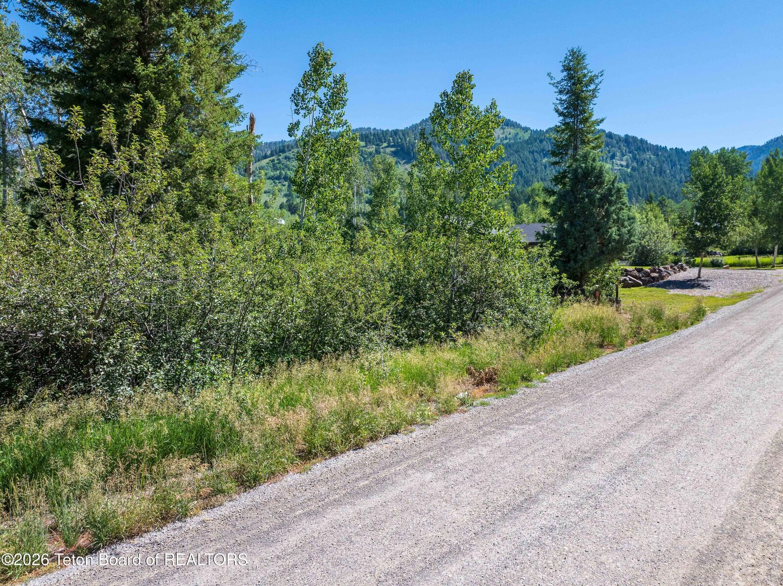 Property Photo:  Lot 5 North Forest Dr  WY 83127 