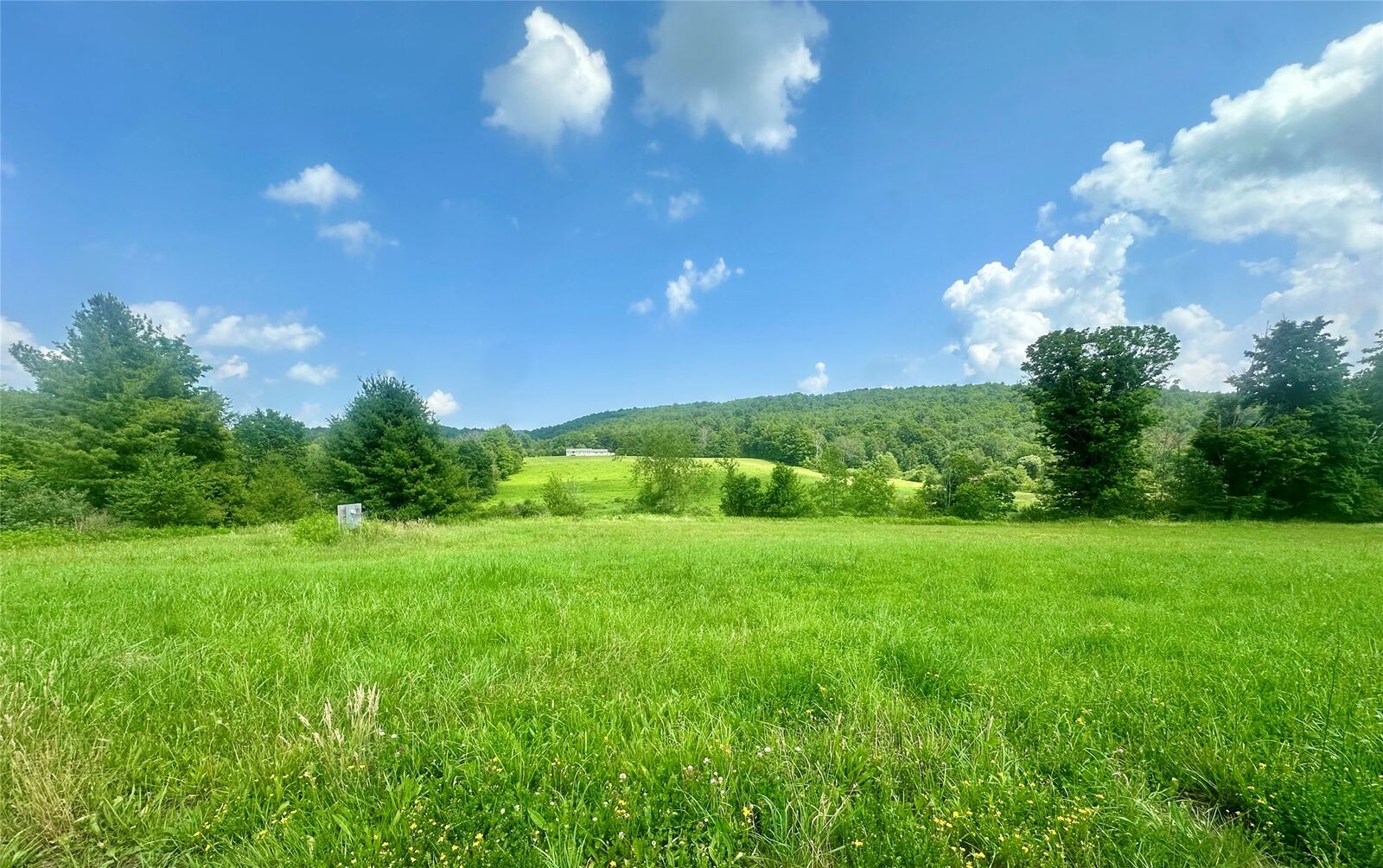 Property Photo: 350 Tunnel Road NY 13833