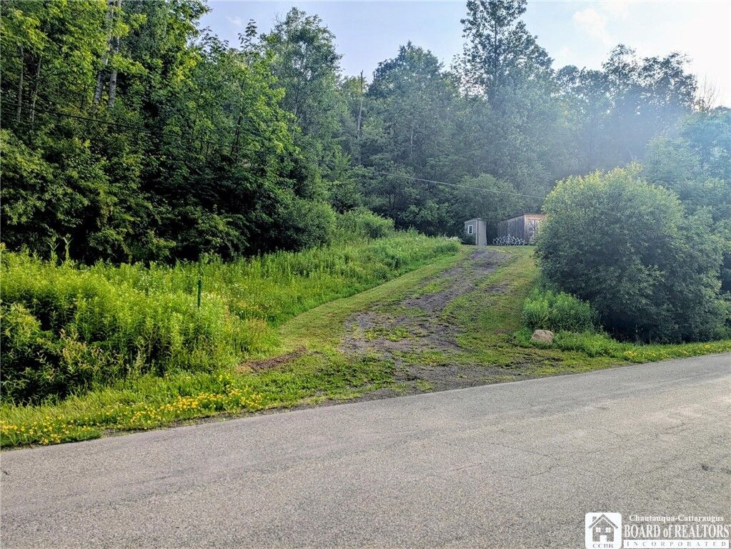 Property Photo:  1186 28th Creek Road  NY 14747 