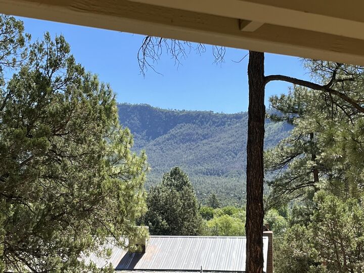 Property Photo:  3943 N Pine Road  AZ 85544 