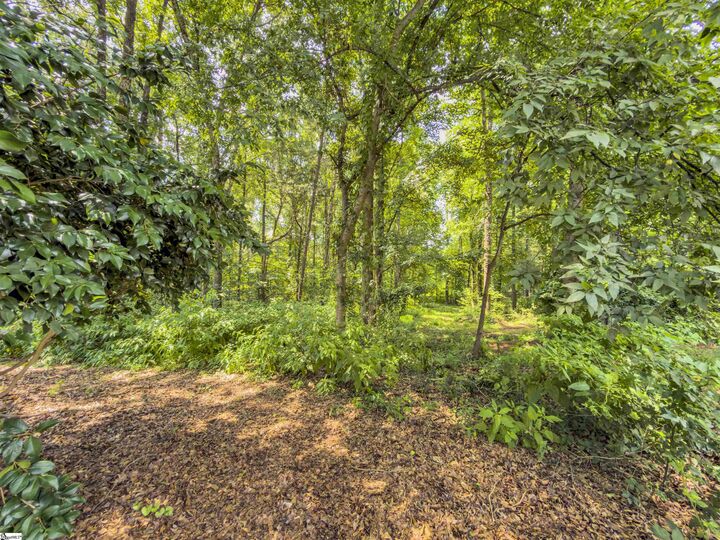 Property Photo:  6 Peters Creek Court  SC 29681 