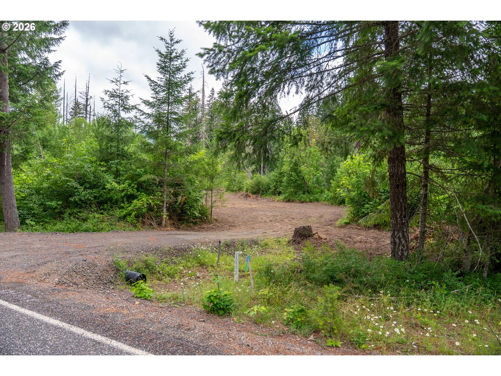 Property Photo:  10392 Wind River Hwy  WA 98610 
