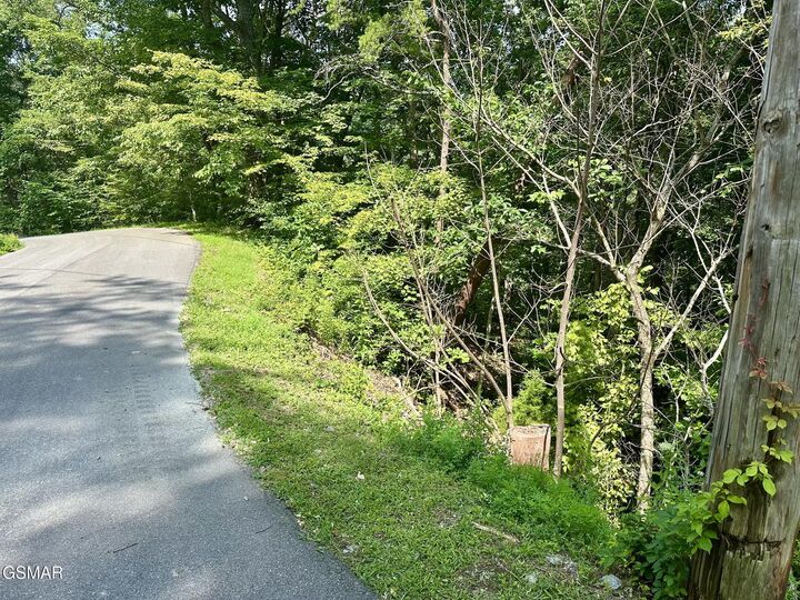Property Photo: 0 Dogwood Drive TN 37876