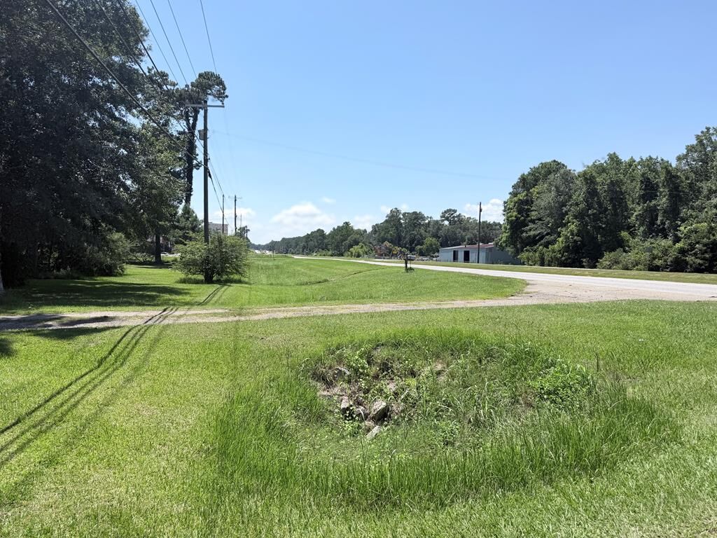 Property Photo:  12544 E US Hwy 84  GA 31757 
