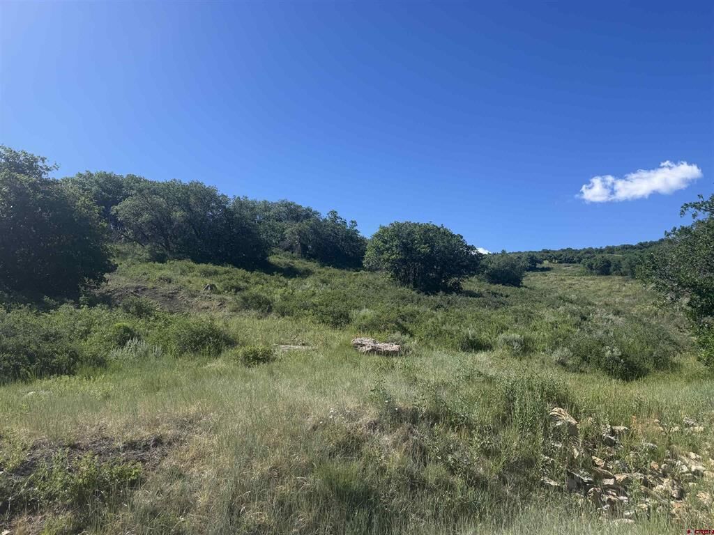 Property Photo: 813 Cornestone Loop CO 81403