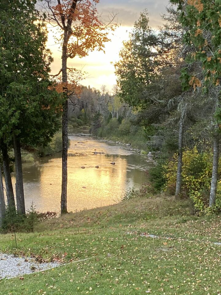 Property Photo:  5985 N Service Rd  MI 49745 