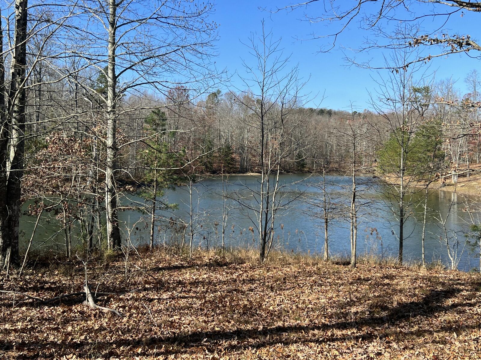 Property Photo:  337 Bluff View Drive W  TN 37327 