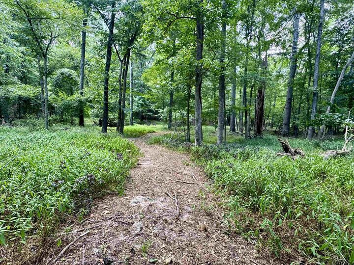 Property Photo:  2133 E Holly Trail  TX 75765 