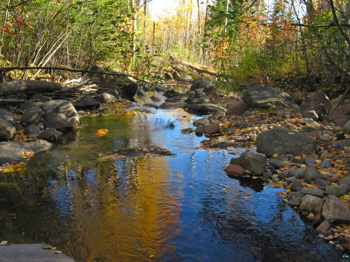 Property Photo:  14 County Rd 48  MN 55604 