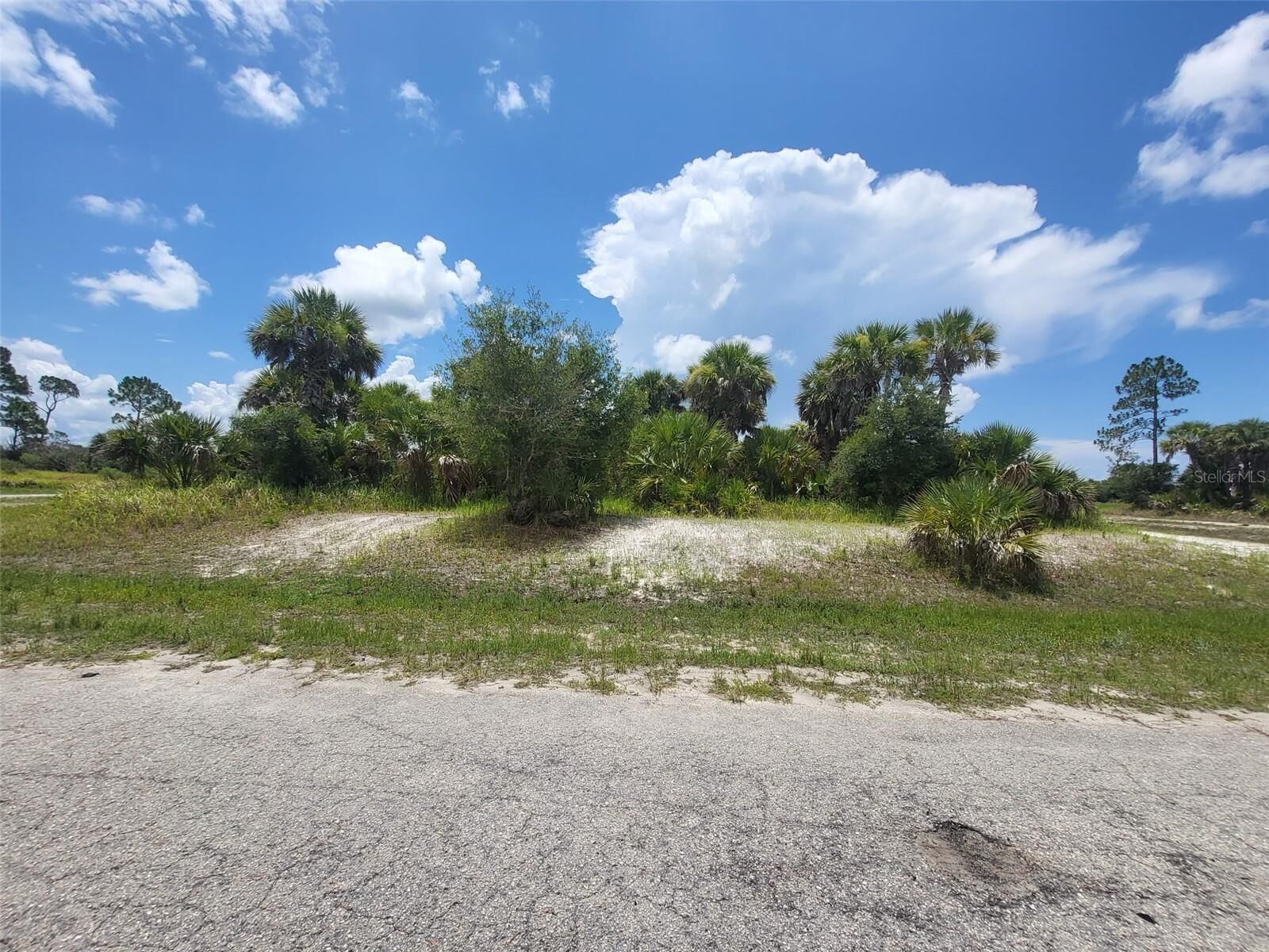 Property Photo:  Fielders Road  FL 34288 