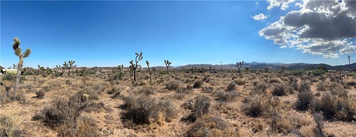 Property Photo:  2171 Billy Bob Lane  CA 92268 