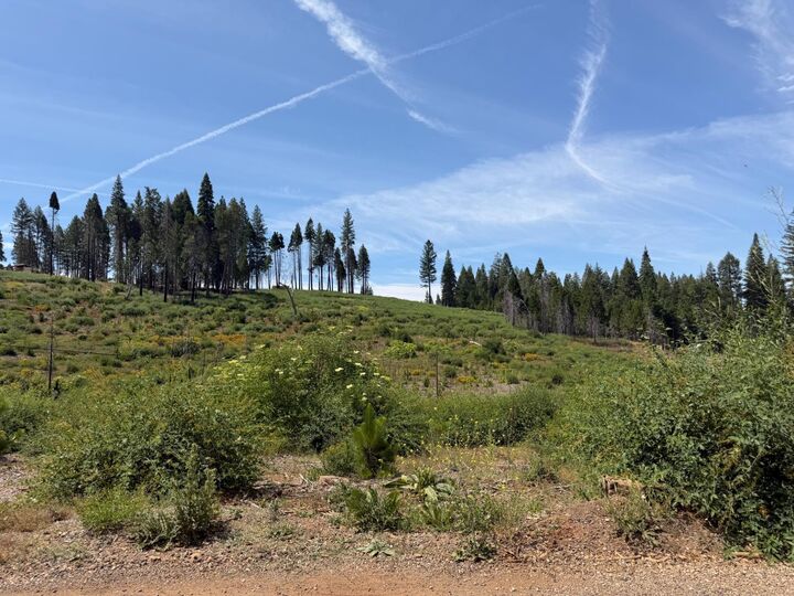 Property Photo:  4621 Sciaroni Road  CA 95636 