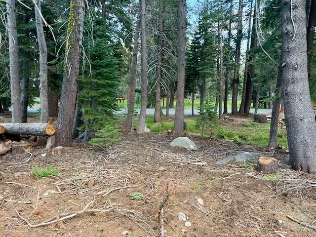 Property Photo: 0 Quaking Aspen Road CA 95223