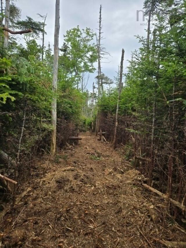 Property Photo:  Grant 22407 Sober Island Road  NS B0J 3B0 