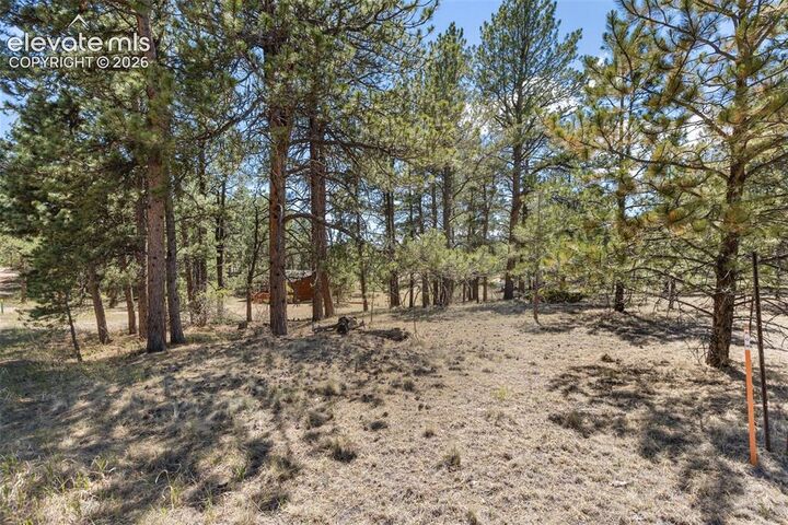 Property Photo:  349 Rhyolite Lane  CO 80816 