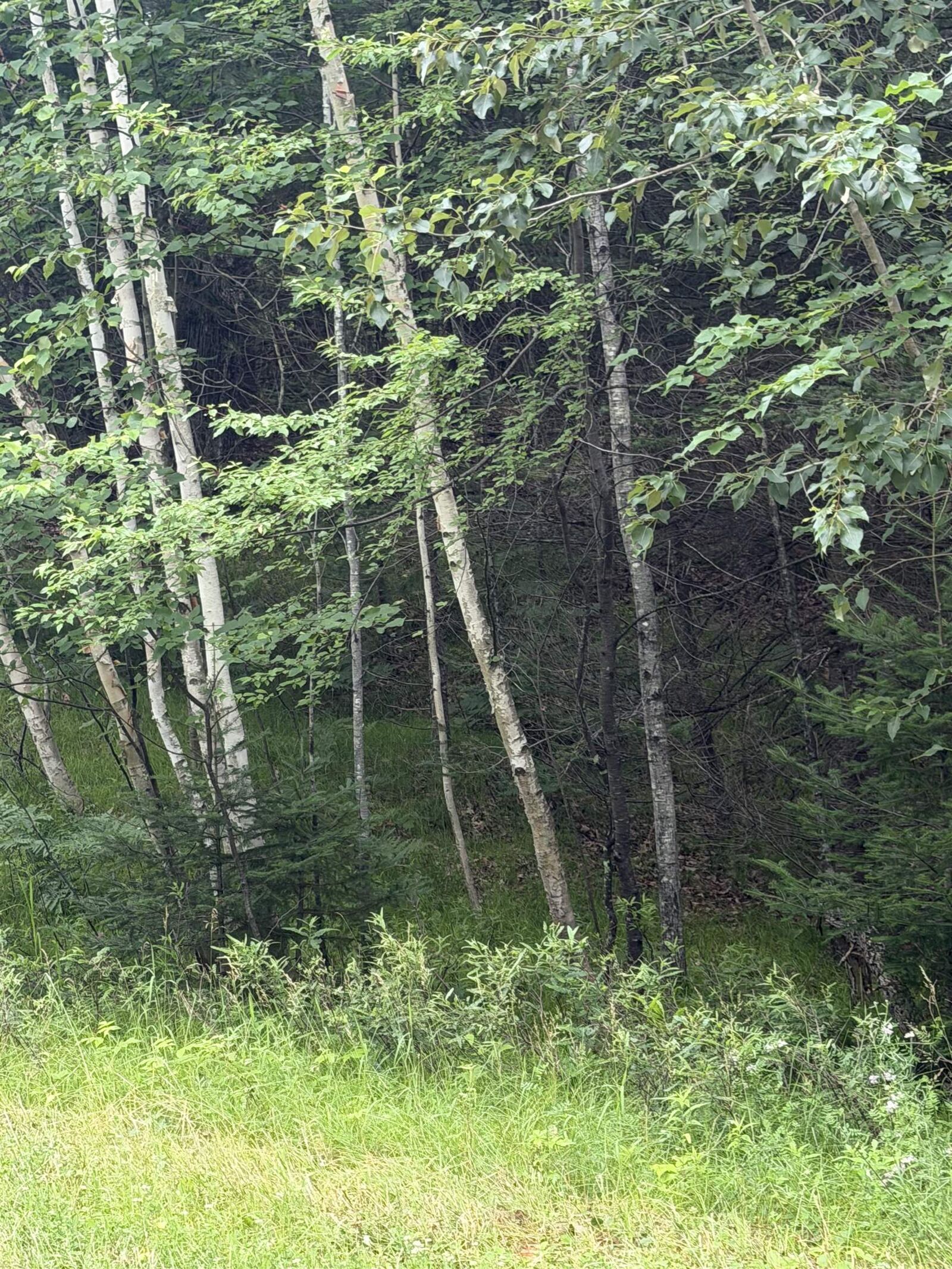 Property Photo: Angel Crest Lane 8 WI 54138