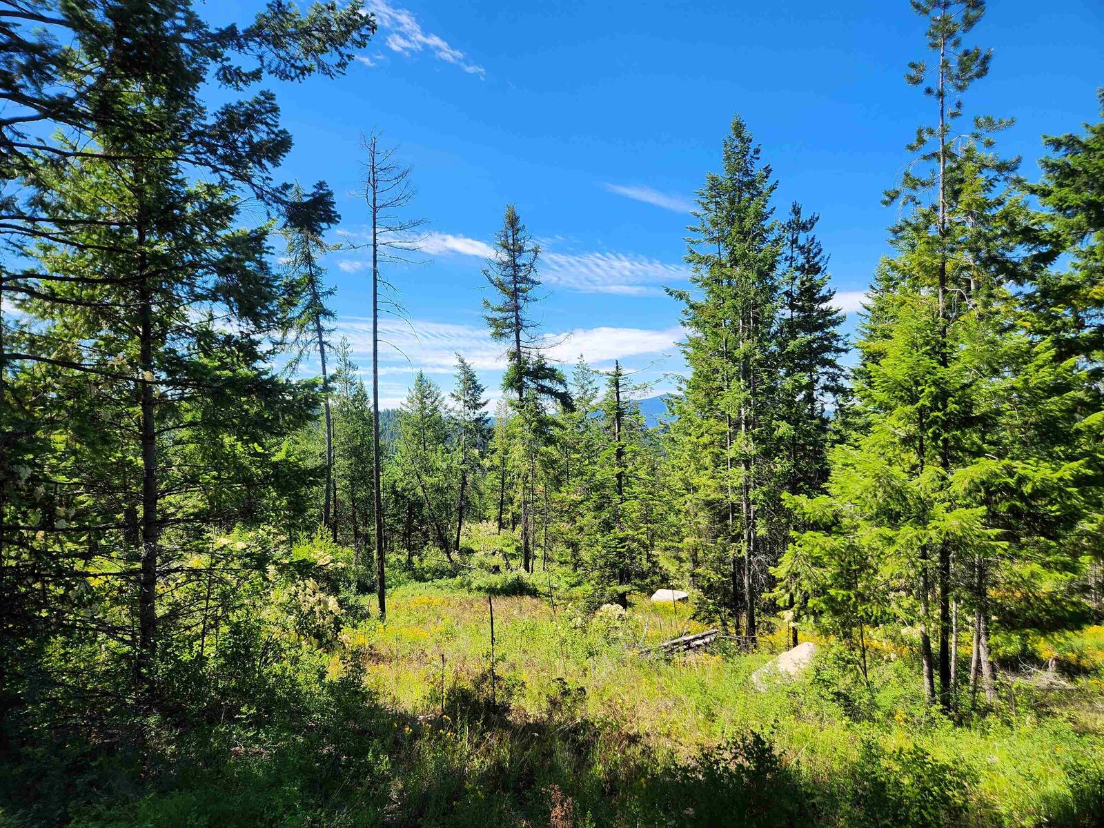 Property Photo: 1492 Portrait Way WA 99114-9999