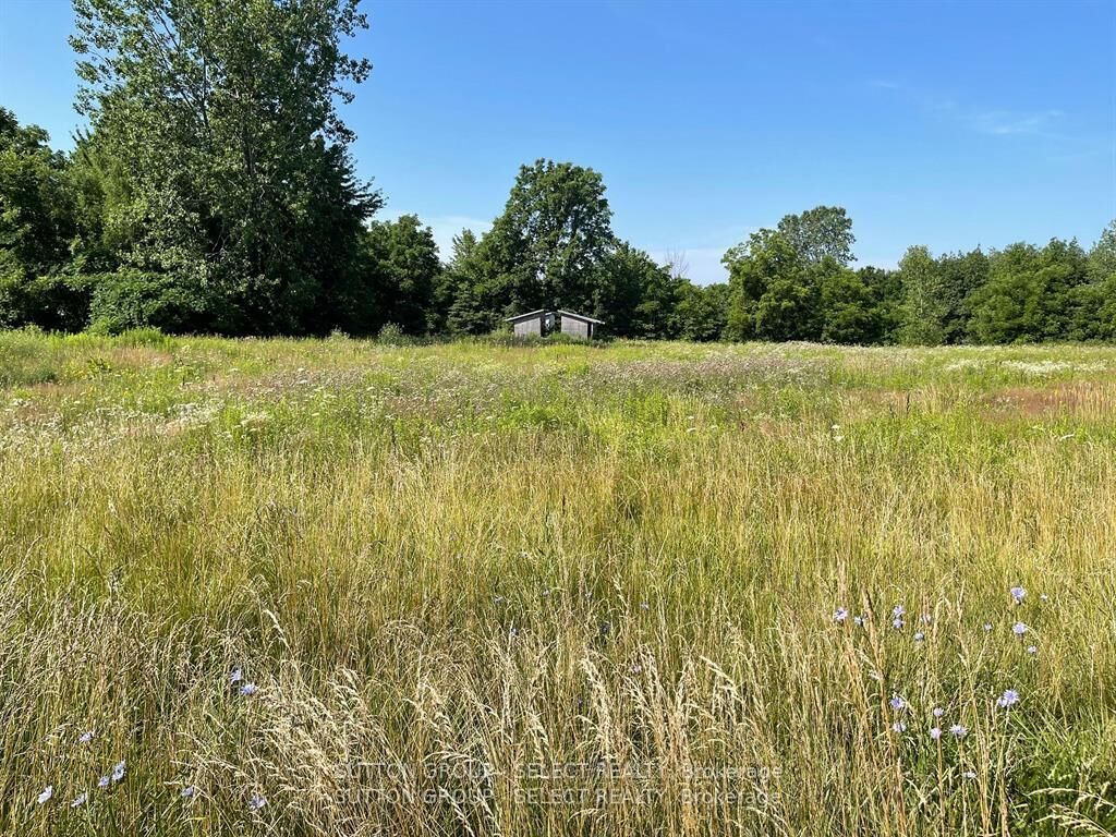 Property Photo:  180 Jane Street  ON N0L 2C0 