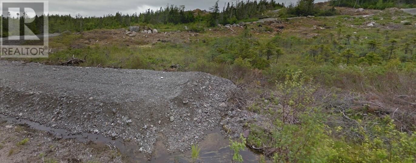 Property Photo:  60 Country Path Road  NL A0A 2R0 