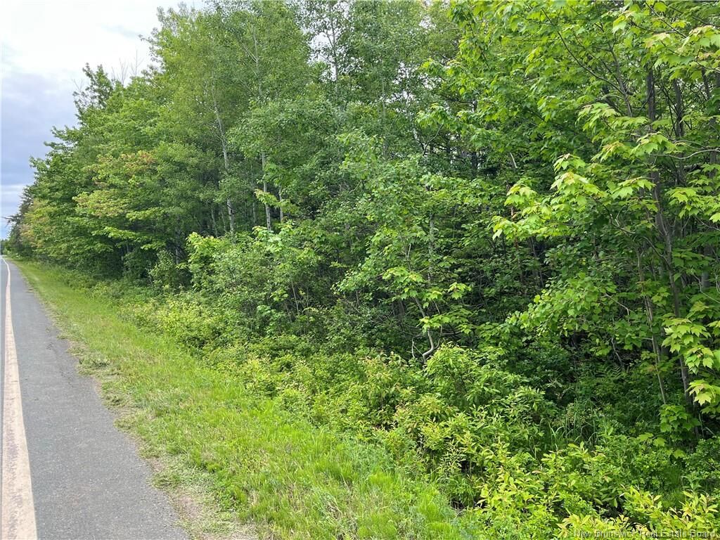 Property Photo:  00 Rte 303  NB E8N 1P3 