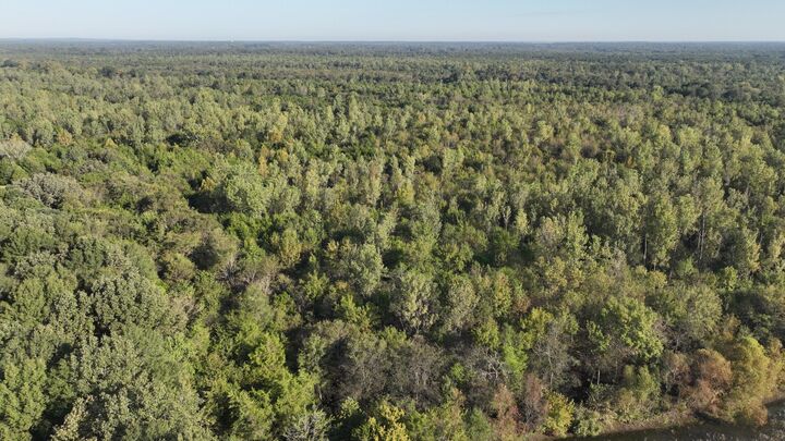 Property Photo:  00 Artesia Road  MS 39759 