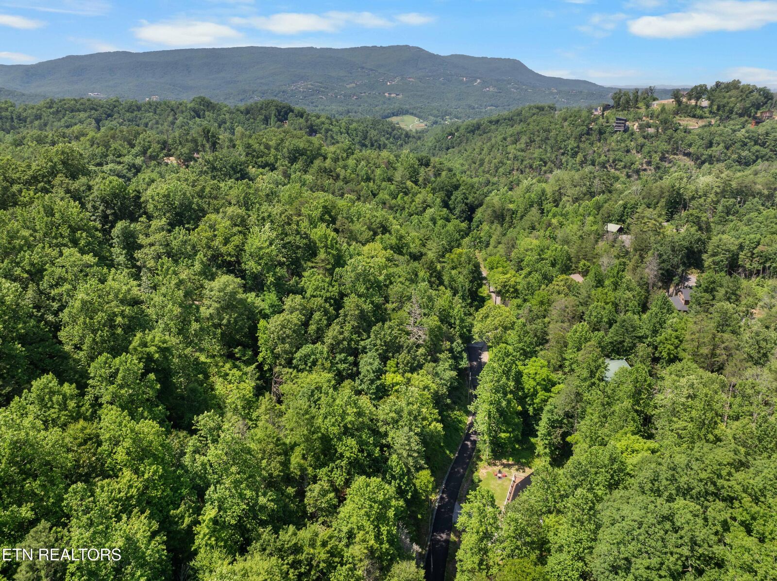 Property Photo:  Lot 16 Black Walnut Flats Rd  TN 37862 