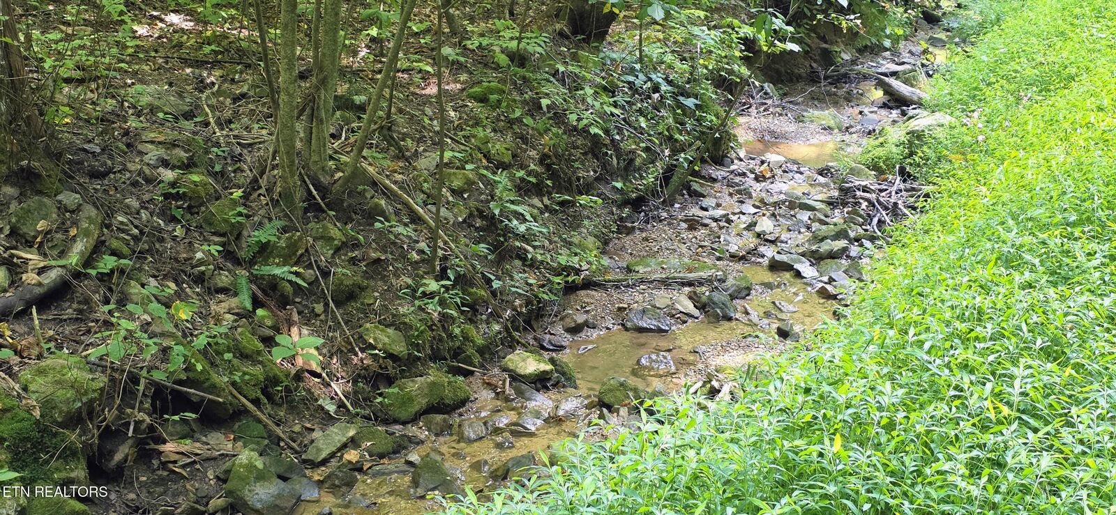 Property Photo:  Lot 16 Black Walnut Flats Rd  TN 37862 