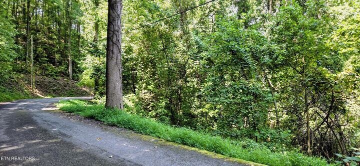 Property Photo:  Lot 28 Sugar Maple Loop Rd  TN 37862 