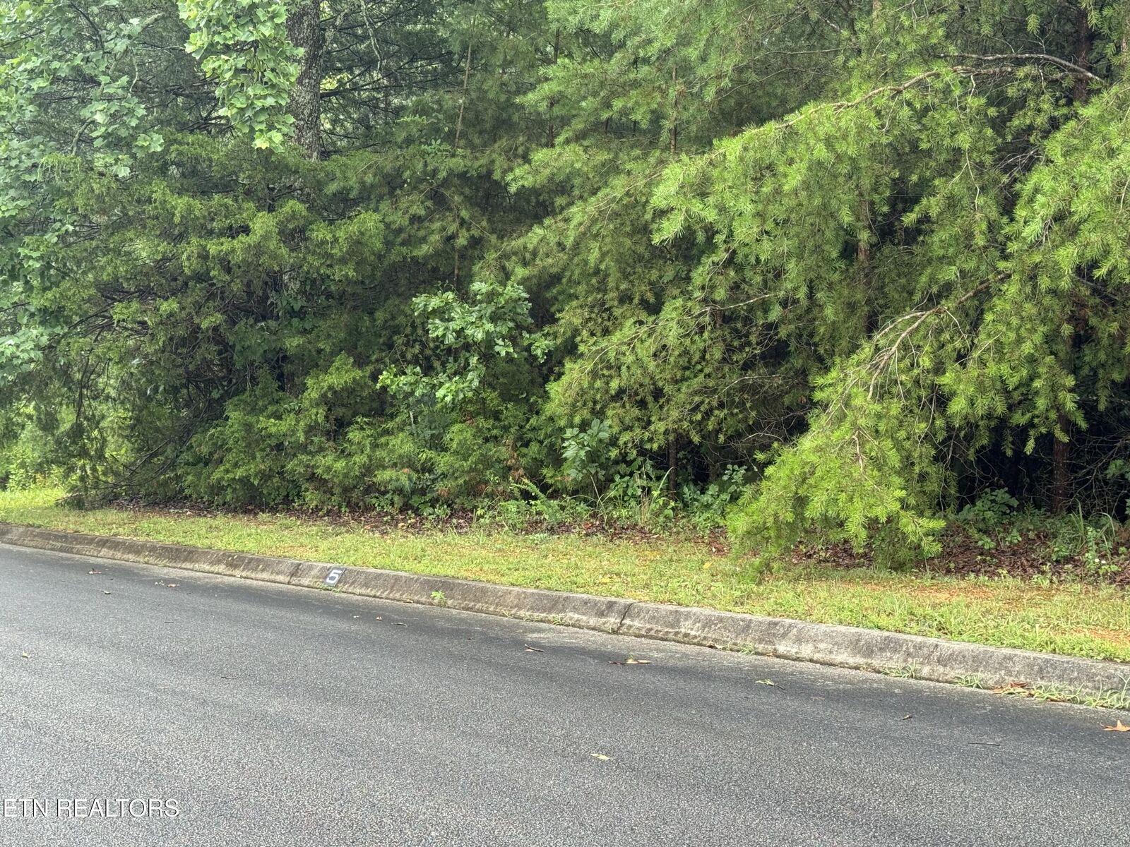 Property Photo: 0 Evergreen Cove Lot 5 St TN 37763