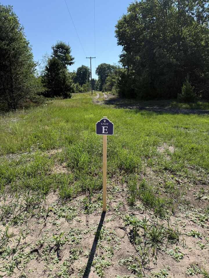 Property Photo:  Sadie Ln  MI 49614 