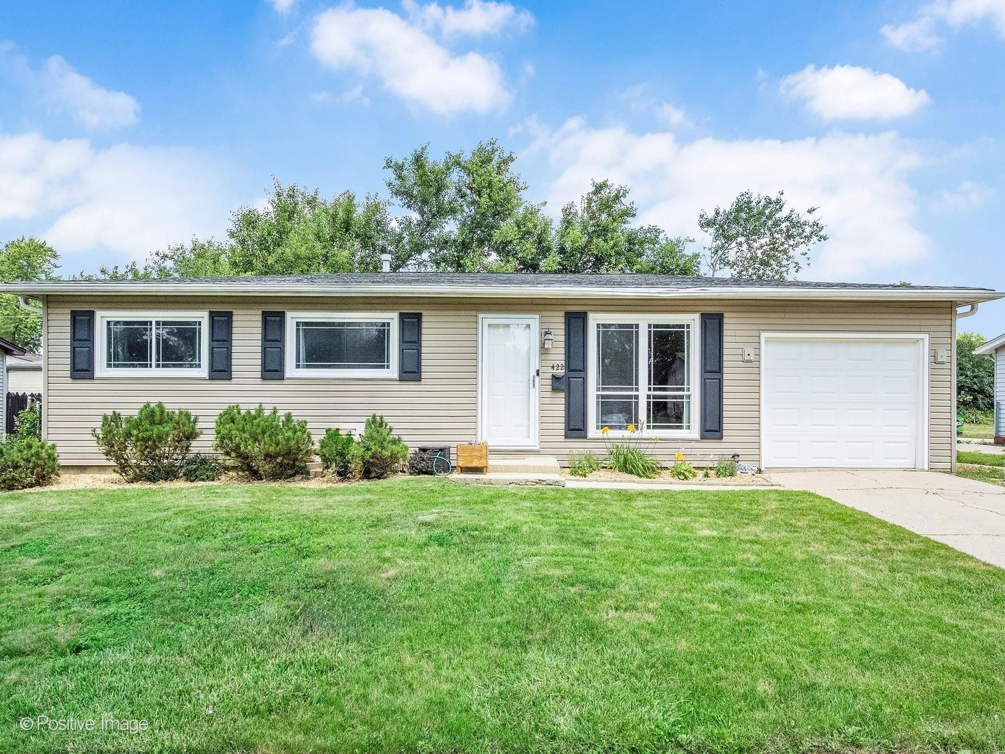 Property Photo:  422 Walnut Drive  IL 60107 