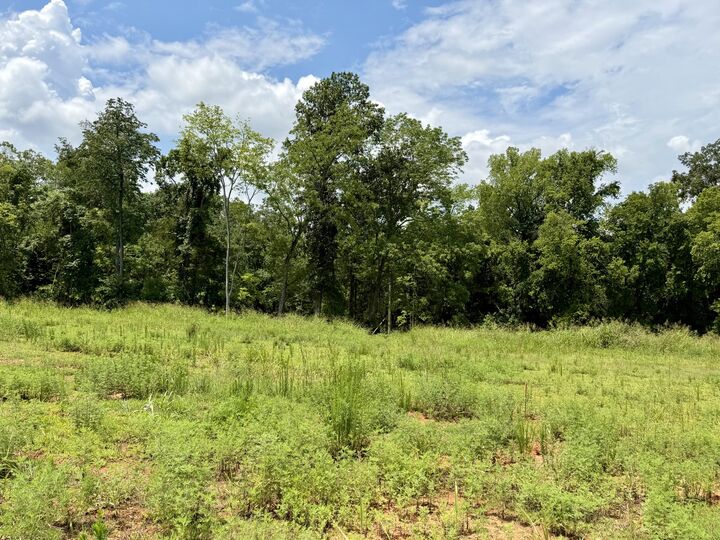 Property Photo:  2054 Daniel Johnson Way  TN 37043 