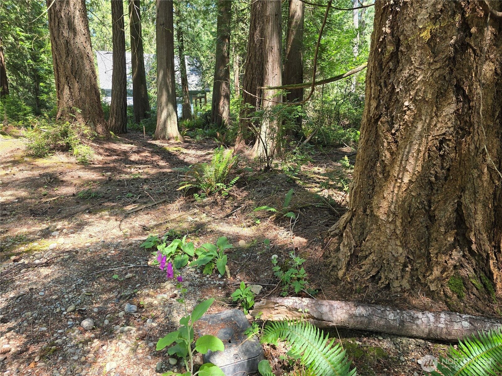 Property Photo: 133 E Barnacle Boulevard WA 98584