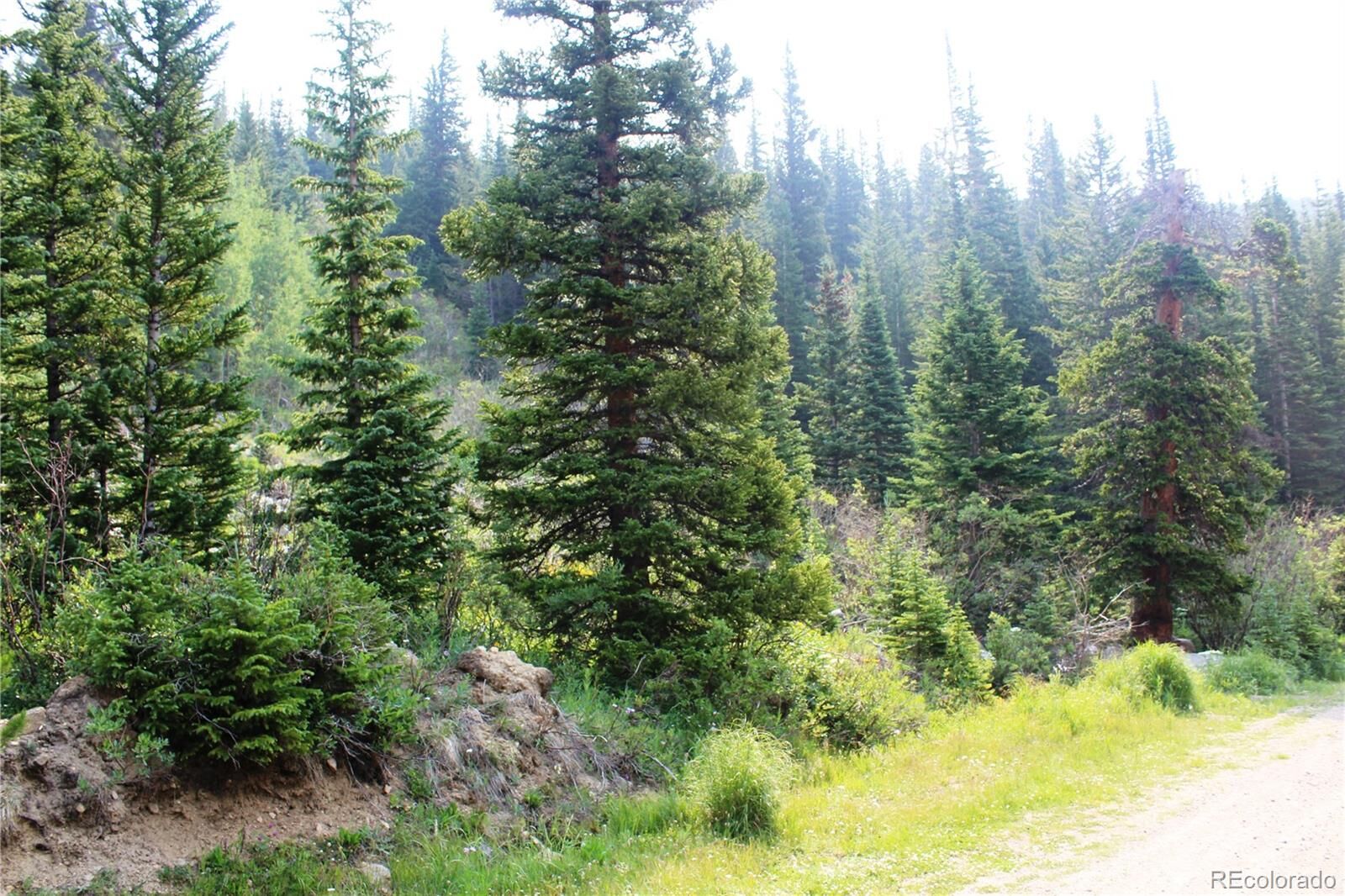 Property Photo:  01 Miners Road  CO 80461 
