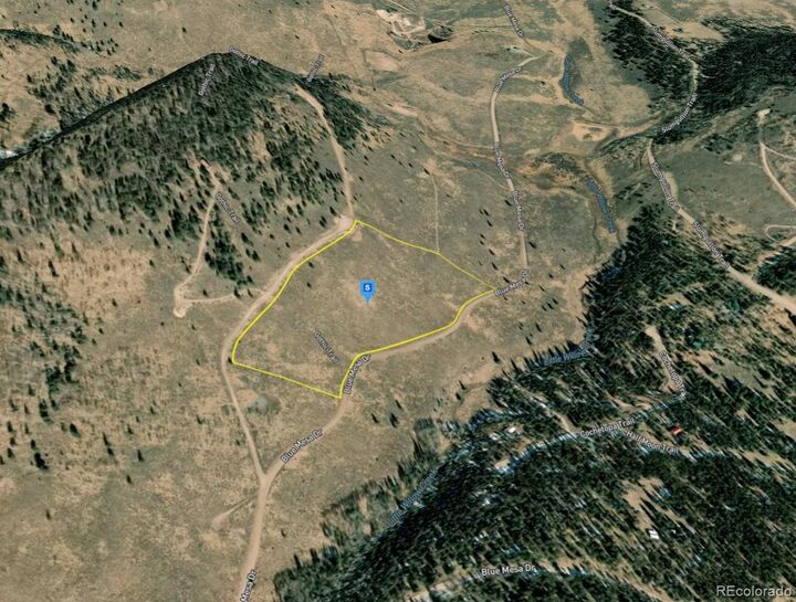 Property Photo:  220 Gothic Trail  CO 81243 