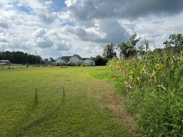 Property Photo:  4180 McConnell Bridge Rd  GA 31620 