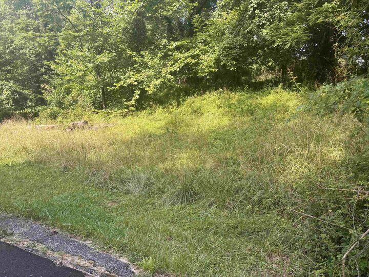 Property Photo: 0 Wallace Street KY 41101