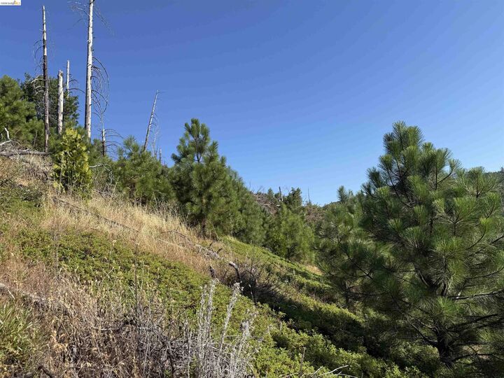 Property Photo: 00000 Old Greek Mine CA 95245