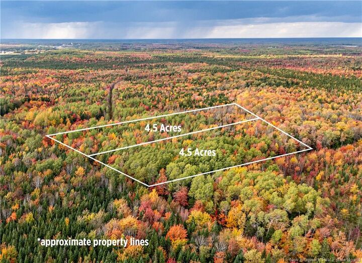 Property Photo:  1940 Village Des Cormier Road  NB E4T 3H3 
