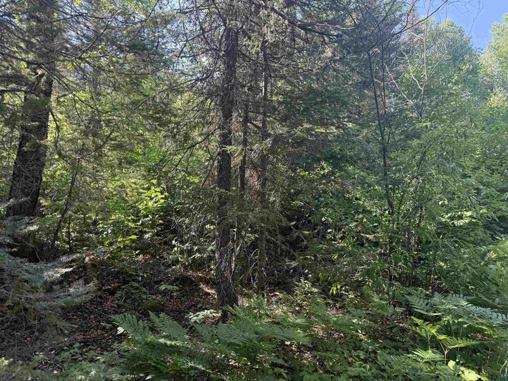 Property Photo: Xxb Rocky Top Trail MN 55606