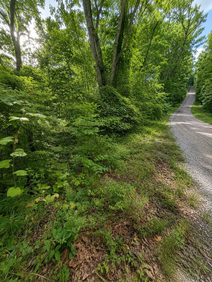 Property Photo: 0 Skyline Dr TN 37166