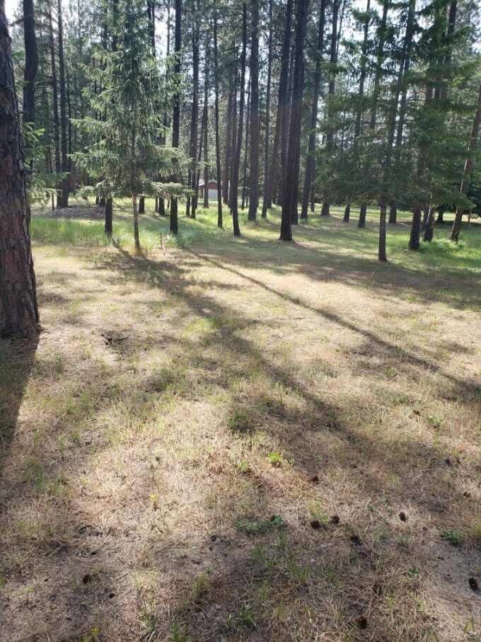 Property Photo:  251 Eagle Dr  WA 99109 