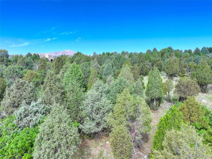 Property Photo:  3585 Twisted Oak Circle  CO 80904 