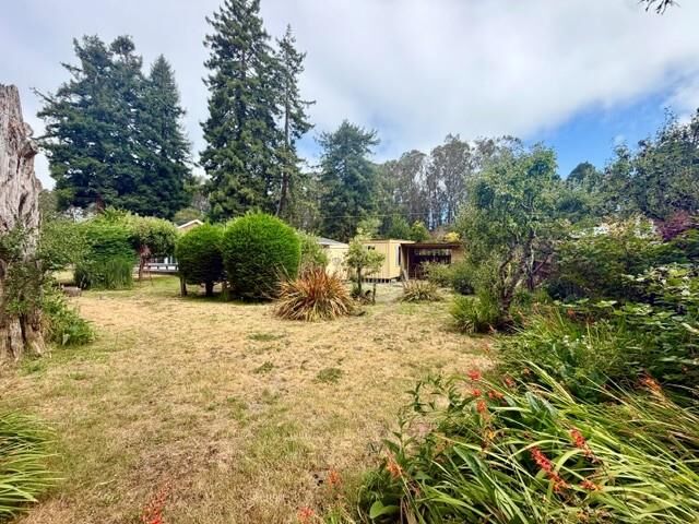 Property Photo:  905 Pinetree Lane  CA 95003 