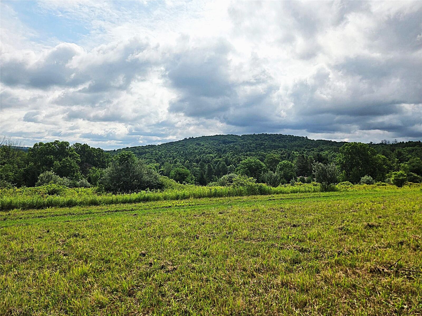 Property Photo:  143 Swift Road 3  NY 13905 