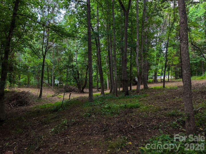 Property Photo:  31 Burtiller Lane  NC 28732 