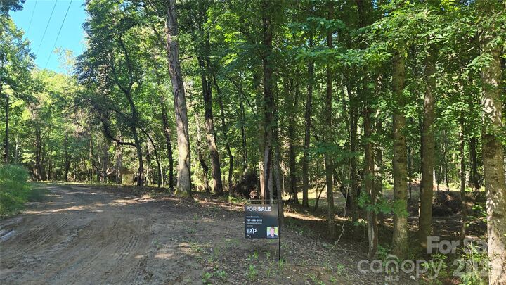 Property Photo: 31 Burtiller Lane NC 28732