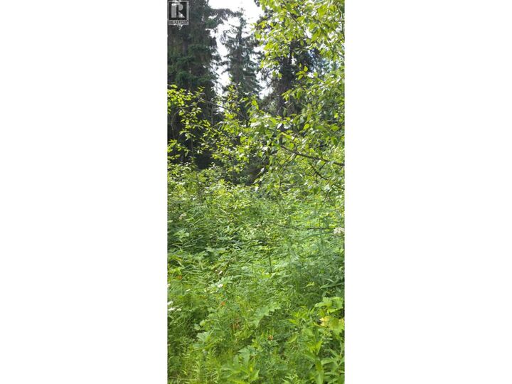 Lot 2 Chief Lake PO Road — photo 1