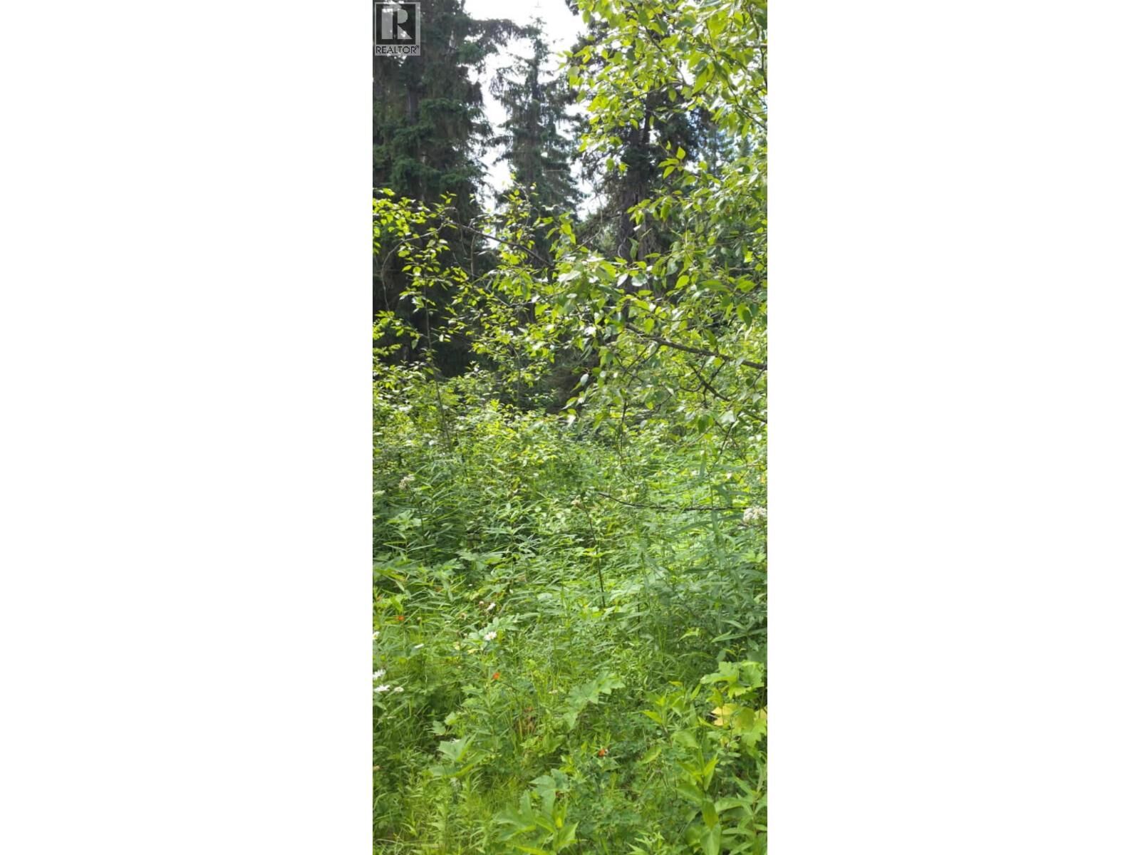 Property Photo:  Lot 2 Chief Lake PO Road  BC V2K 5P9 