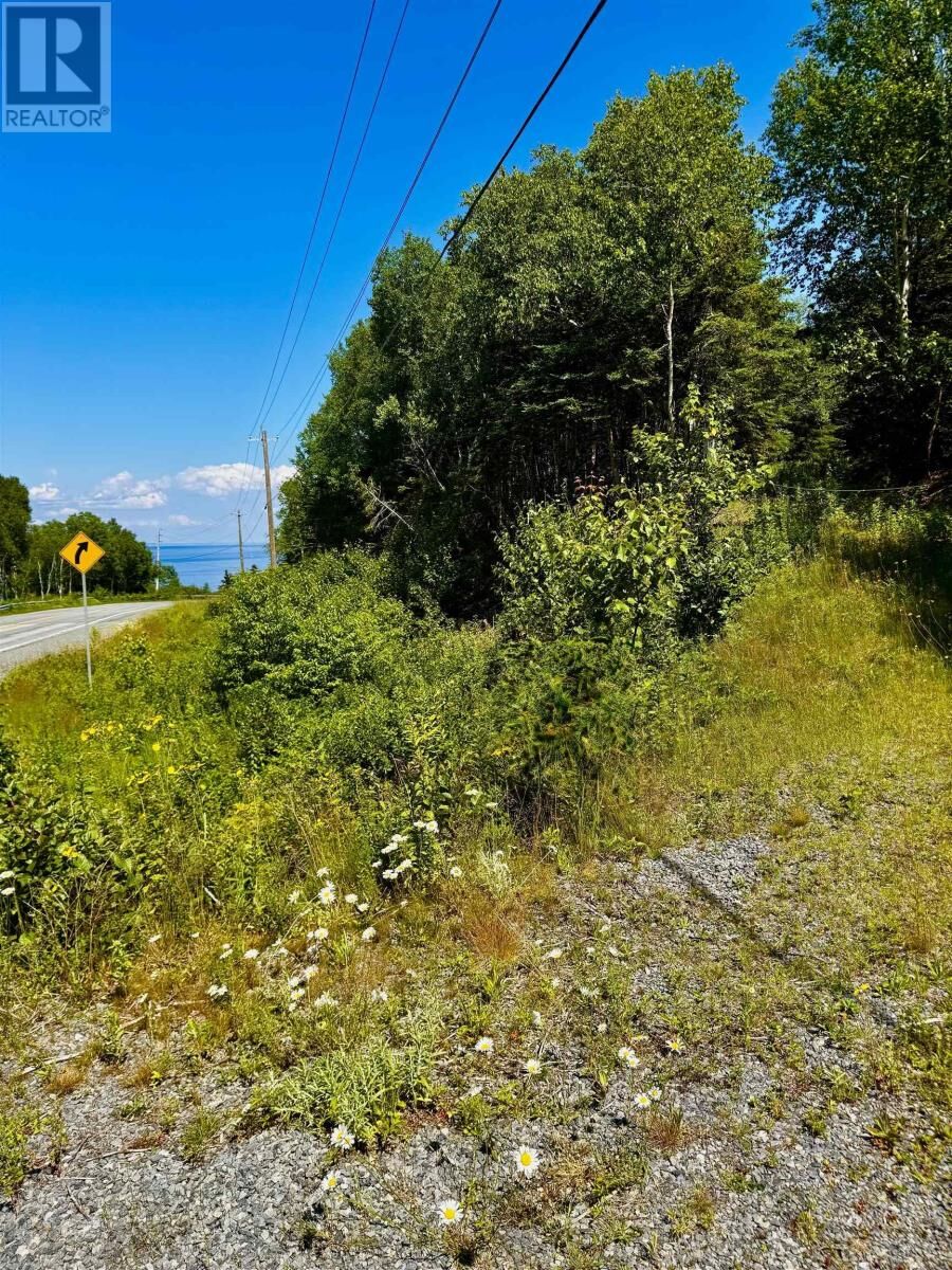 Property Photo:  0 Highway 16 Highway  NS B0H 1N0 